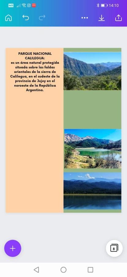 Los Tarcos Departamento Centro سان سلفادور دي خوخوي المظهر الخارجي الصورة